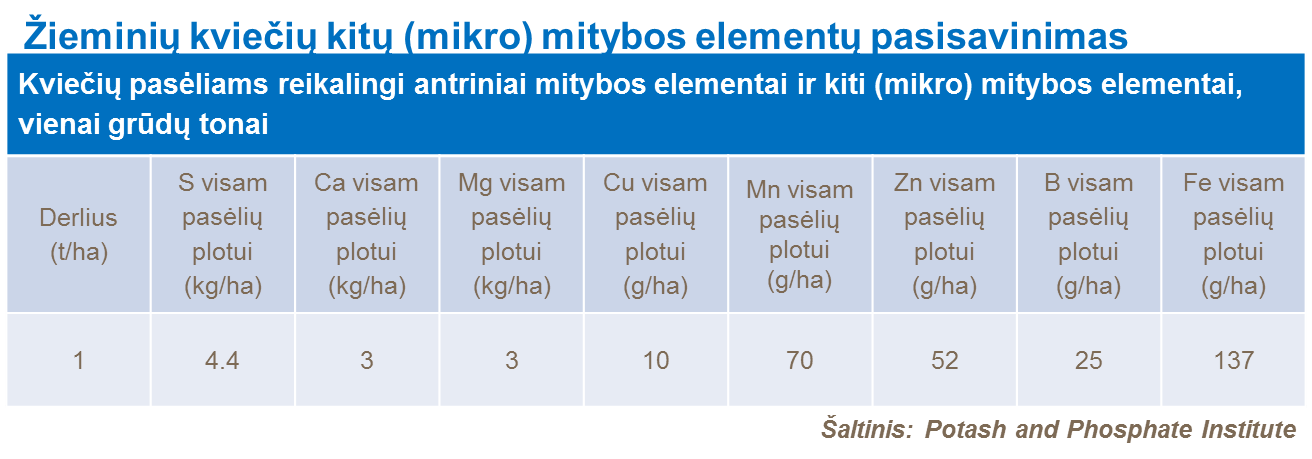 Žieminių kviečių kitų (mikro) mitybos elementų pasisavinimas