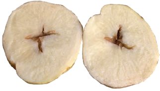 Vidiniai įtrūkimai bulvėse