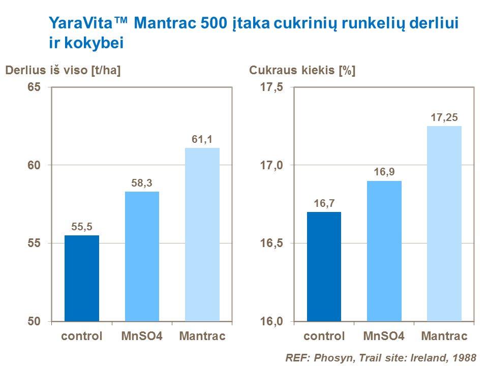 Airijoje atliktų tyrimų rezultatai rodo mangano poveikį cukrinių runkelių derlingumui ir cukraus kiekiui šakniavaisiuose.