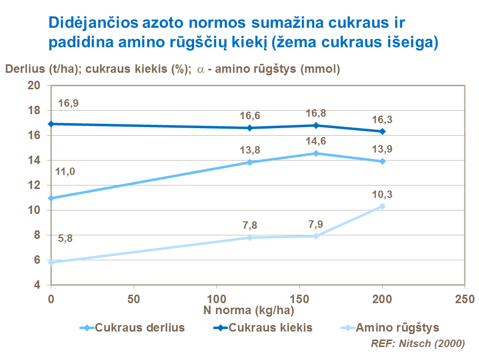 Šių tyrimų rezultatai parodo azoto normos padidėjimo poveikį amino-N rūgšties kiekiui, dėl kurios sumažėja cukraus išeiga.