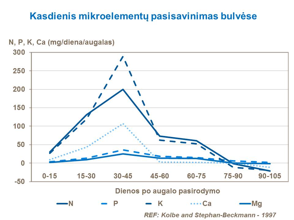 Maisto medžiagų įsisavinimas įvairiuose vegetacijos tarpsniuose būna skirtingas. Kalis yra vienas iš makroelementų, kurio bulvių pasėliai pasisavina daugiausiai.