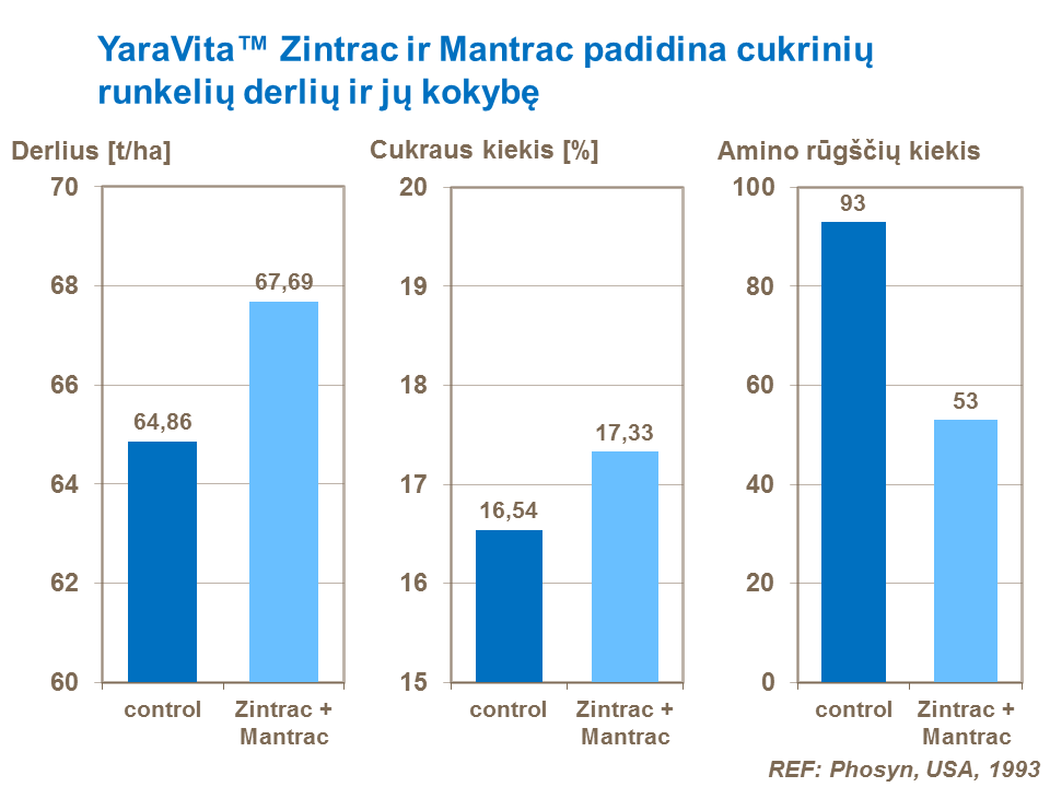 Šis tyrimas, atliktas JAV dar kartą parodo mangano efektyvumą pagerinant cukrinių runkelių derlių.