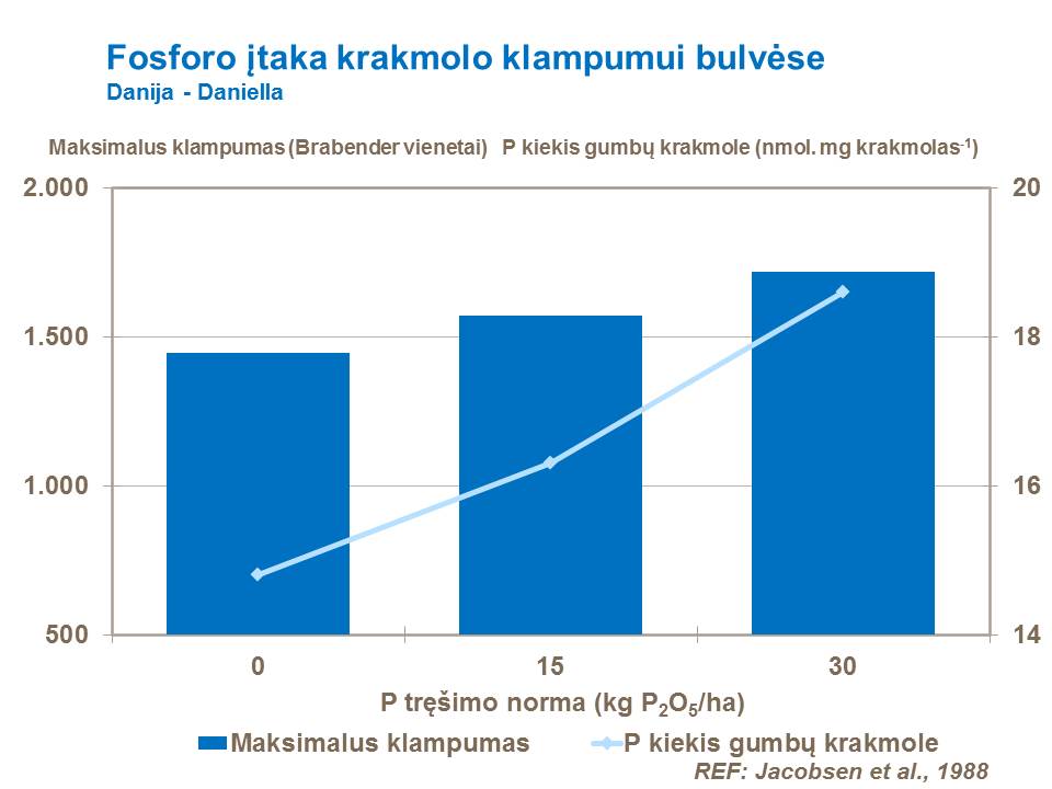 Fosforinių trąšų naudojimas gali turėti įtakos krakmolo kokybei. Padidėjus P kiekiui gumbuose, želatininio krakmolo klampumas padidėja, o tirštėjimo temperatūra sumažėja. Kadangi krakmolas dažnai naudojamas kaip maisto ir kitų produktų tirštiklis, savalaikis bulvių pasėlių tręšimas fosforinėmis trąšomis gali būti akivaizdžiai naudingas.