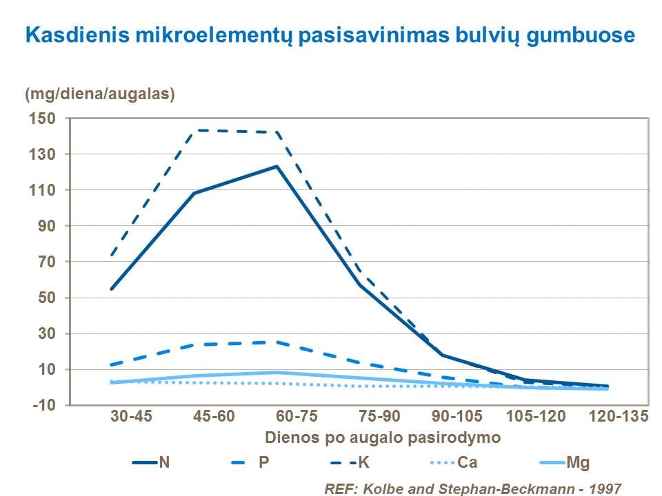 Ir Kalis ir azotas yra reikalingi per visą augalo vegetacijos laikotarpį šakniagumbių formavimosi ir augimo bei maisto medžiagų kaupimo tarpsniuose.